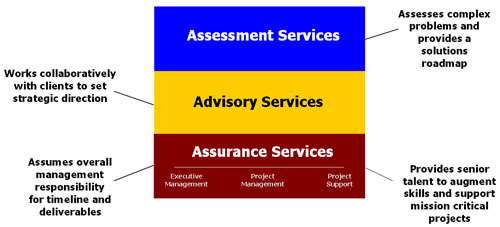 Assessment Services, Advisory Services and Assurance Services